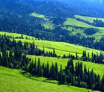 新疆广汇训练开放日；赛前迎来里程碑引欢呼；葡超在即；球探报告显示潜力